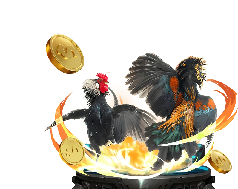 Luật chơi đá gà trực tuyến 5vip